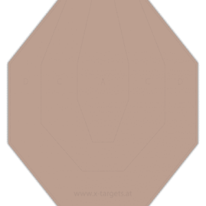 100x -IPSC Classic Target-