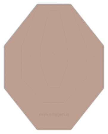 100x -IPSC Classic Target-
